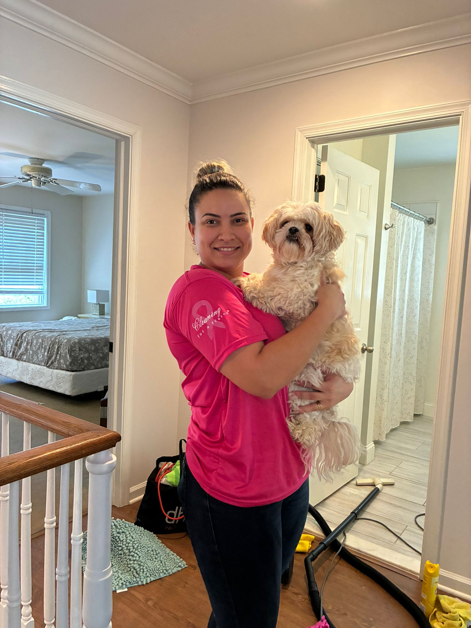 Cat resting in a spotless cozy home - professional cleaning for homes with cats