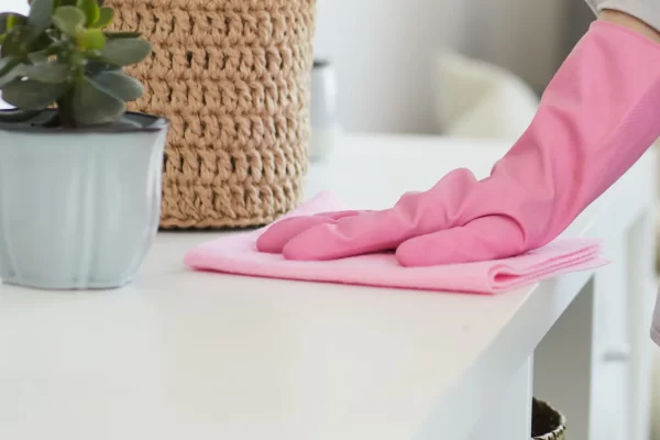 regular-cleaning regular-cleaning